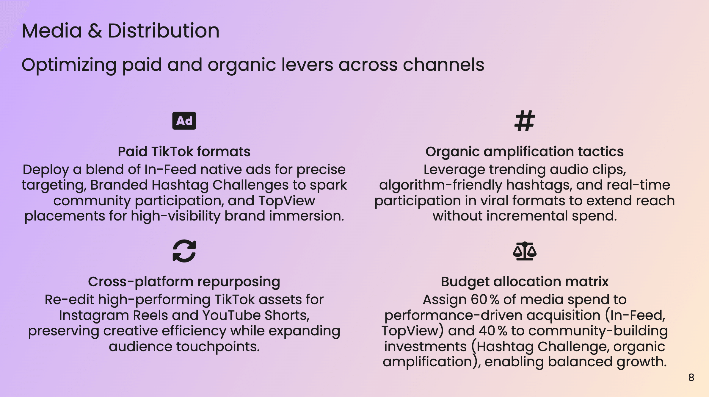 Media & Distribution - Paid ad formats and budget allocation